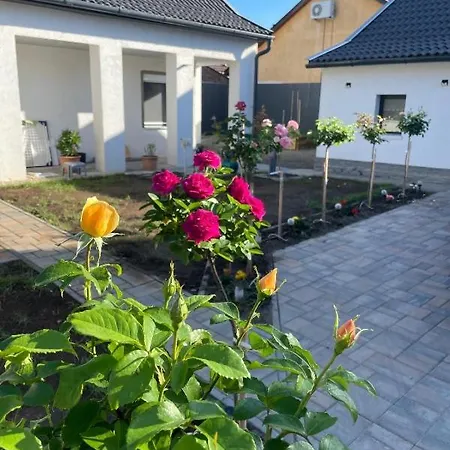 Rozsakert